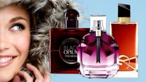 YSL Cologne